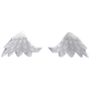 angel-wings