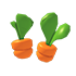 Carrot Sprout