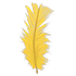 Feather