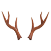 Reindeer Antlers