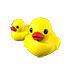 Rubber Ducks
