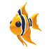 Angelfish
