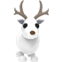 Arctic Reindeer