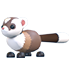 Black-Footed Ferret