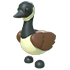 Canadian Goose