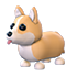 Corgi