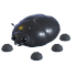 Giant Black Scarab