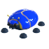 Giant Blue Scarab