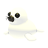Harp Seal