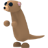 Meerkat
