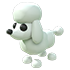 Poodle