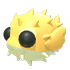 Puffer Fish
