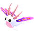 Sea Slug