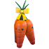 Carrot Bushel