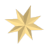 Christmas Star Flying Disc