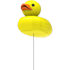 Duck Balloon