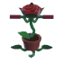 Rose Pogo