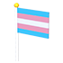 Transgender Flag